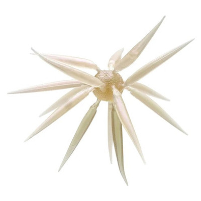 Hideup Coike Fish Elastomer M Urchin Bait Clear Wakasagi