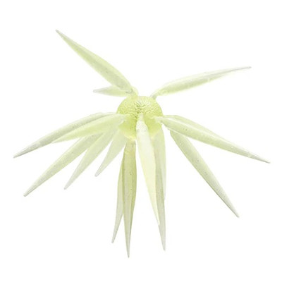 Hideup Coike Fish Elastomer M Urchin Bait Squash Lemon