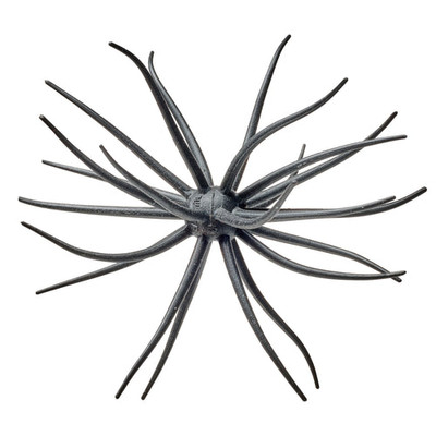 Hideup Kyu Coike Urchin Bait Black Solid
