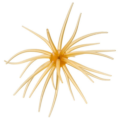 Hideup Kyu Coike Urchin Bait Kuririn Kintoki