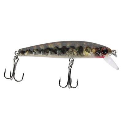 Pirate Baby Renosky Shallow Diving Minnow Goby