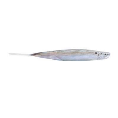 6th Sense Shindo Shad Live Threadfin Shad