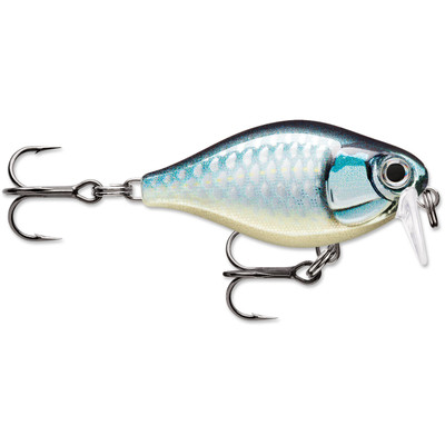 Rapala X-Light Crank Shallow - Baby Aspius