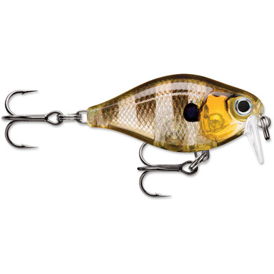 Rapala X-Light Crank Shallow - Glassy Gill UV