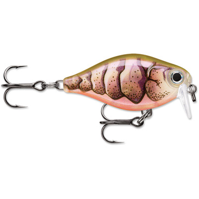 Rapala X-Light Crank Shallow - Purple Prawn UV