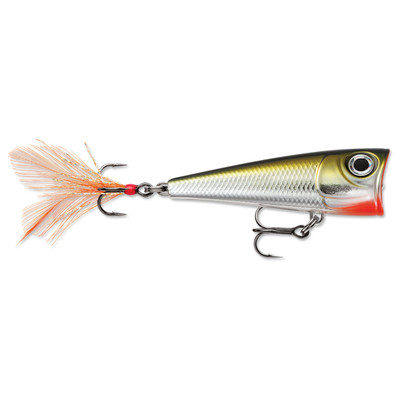 Rapala X-Light Pop Gold Chrome