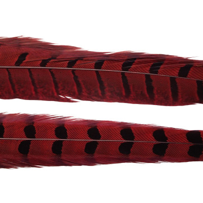 Wapsi Ringneck Pheasant Tail Feathers Red
