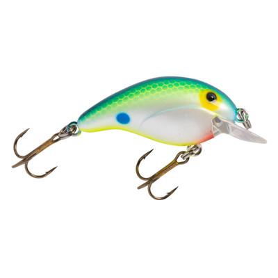 Bandit 50 Series Crankbait Citrus Shad