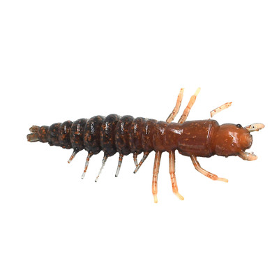 Nikko Zaza Hellgrammite Appalachian Rust