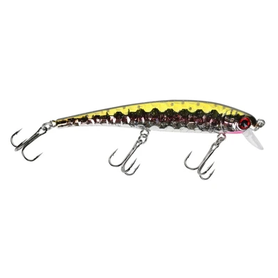 Pirate Shallow Diving Minnow - Rainbow Trout