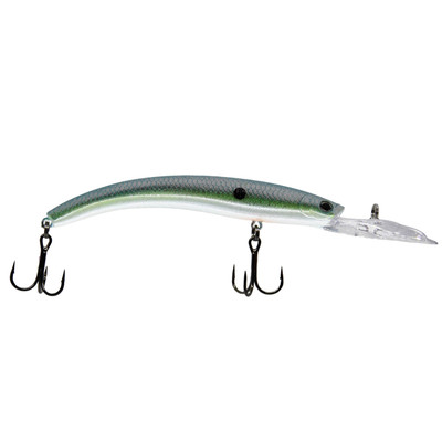 WalleyeX Paladin Crankbait Tropic