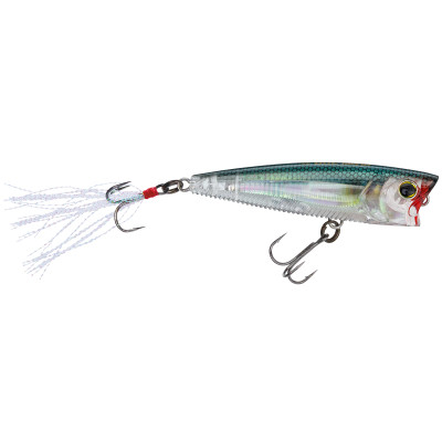 Yo-Zuri 3DB Popper Topwater Bait Real Gizzard Shad