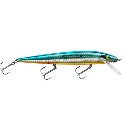 Smithwick Perfect 10 Rogue Chrome-Blue Back-Orange Belly