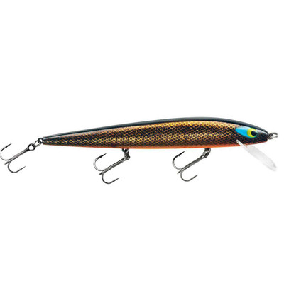 Smithwick Lures Perfect 10 Rogue Minnow-Style Jerkbait Crankbait Fishing  Lure, Freshwater Fishing Gear and Accessories, 5.5, 5/8 oz, Lacy Tiger:  Buy Online at Best Price in UAE 