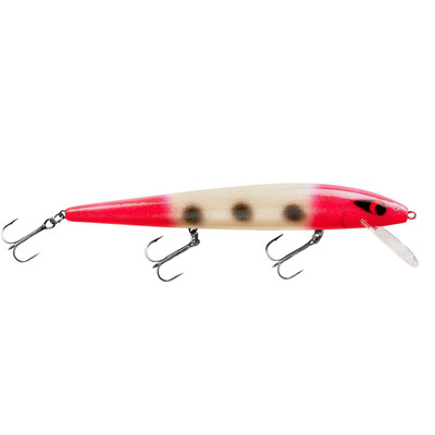 Buy Smithwick Lures Perfect 10 Rogue Fishing Lure Online at desertcartAngola