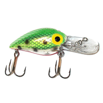 Brad's Wiggler Green Speck-Red Belly