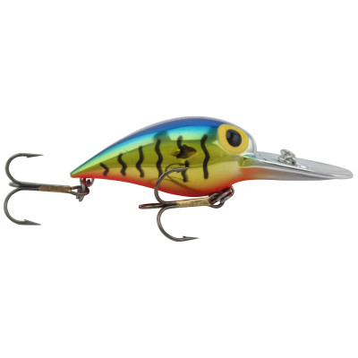 Brad's Wiggler Metallic Blue-Gold Tiger