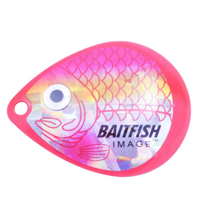 北国Baitfish-Image科罗拉多叶片鲦鱼粉红色