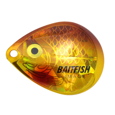 北国Baitfish-Image科罗拉多叶片金色的杰出的人物