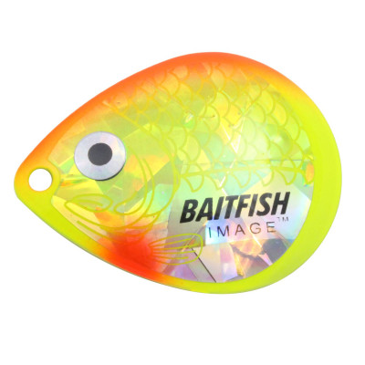 北国Baitfish-Image科罗拉多叶片日出