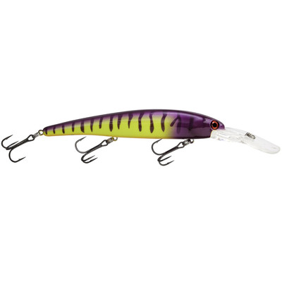 Bandit Walleye Deep Diver Electric Zebra