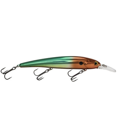 BANDIT LURES Walleye Shallow Minnow Jerkbait Fishing Lure, Fishing  Accessories, Dives ro 12-feet Deep, Fire Tiger, 4.5 Inch, 5/8 Ounce,  (BDTWBS120)