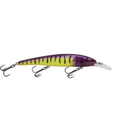 Bandit Walleye Shallow Diver Electric Zebra