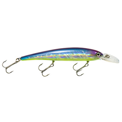 BANDIT LURES Walleye Shallow Minnow Jerkbait Fishing Lure, Fishing  Accessories, Dives ro 12-feet Deep, Fire Tiger, 4.5 Inch, 5/8 Ounce,  (BDTWBS120)