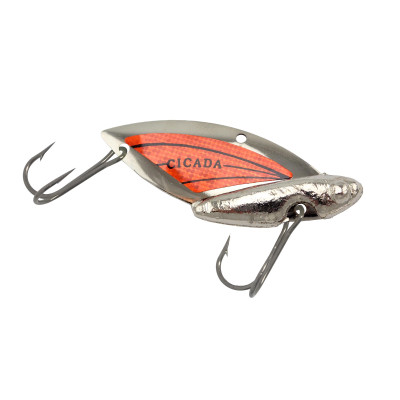 Reef Runner Cicada Silver-Orange