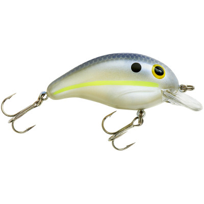  BANDIT LURES Series 100 Crankbait Bass Fishing Lures, Fishing  Accessories, Dives to 5-feet Deep, 2, 1/4 oz, Old Light Matte,  (BDT104M-SPEC) : Fishing Diving Lures : Sports & Outdoors