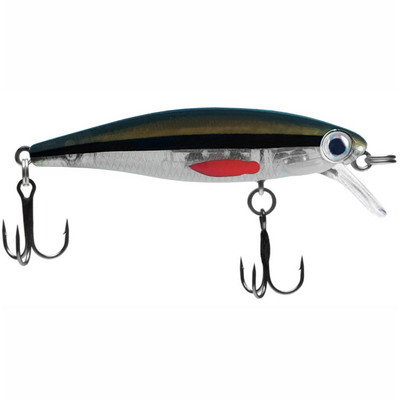 Dynamic Lures HD Trout Redfin Shiner