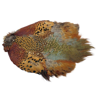 Wapsi Ringneck Pheasant Skin with No Tail Natural Cock