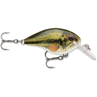 Rapala Dives to 10 Live Largemouth Bass