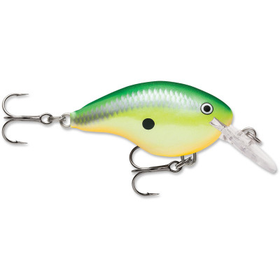 Rapala DT Dives-To Crankbait Rasta