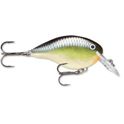 Rapala DT Dives-To Crankbait Smash