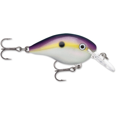 Rapala DT Dives-To Crankbait Big Shad