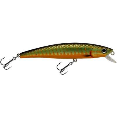 Challenger Junior Minnow Goby