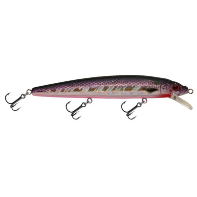 Challenger Minnow Pink-Purple