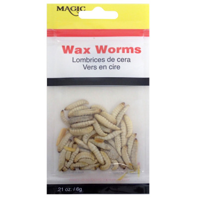 Magic Products Preserved Select Wax Worms Natural