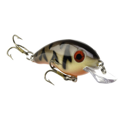 Anything larger than a Strike King Bitsy Minnow but smaller than a