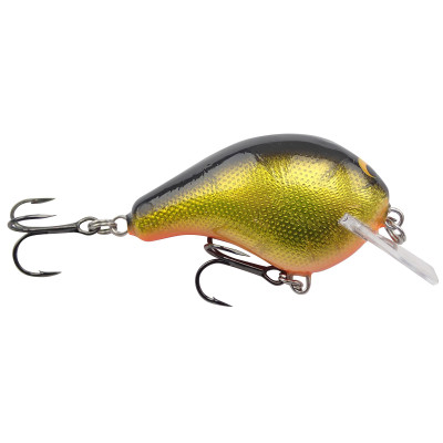 Bagley Balsa B Black Back-Gold Foil-Orange Belly