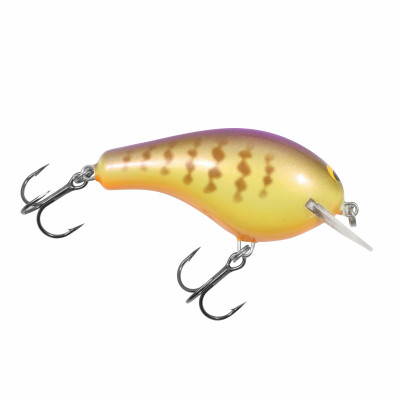 Bagley Balsa B Purple Gill
