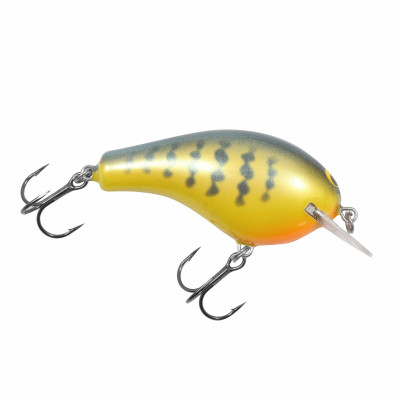 Bagley Balsa B Orange Belly Gill