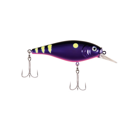  Berkley Flicker Shad Shallow Fishing Lure, Firetail Hot  Perch, 2/7 Oz, 2 3/4in 7cm Crankbaits, Size, Profile And Dive Depth  Imitates Real Shad, Equipped