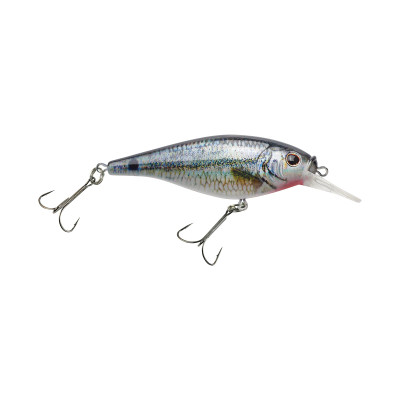 Berkley Flicker Shad Shallow Crankbait HD Spottail Shiner