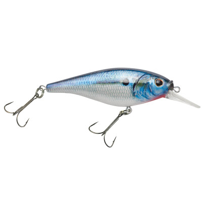  Berkley Flicker Shad Shallow Fishing Lure, HD Bluegill, 1/6  oz, 2in  5cm Crankbaits, Size, Profile and Dive Depth Imitates Real Shad,  Equipped with Fusion19 Hook : Sports & Outdoors