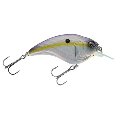 Megabass Sonicside Megabass Sexy Shad