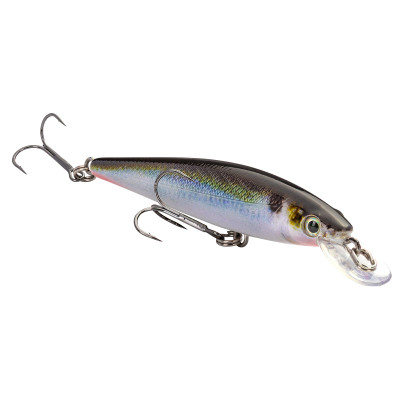 Strike King Chrome Gold Black KVD 100 Jerkbait