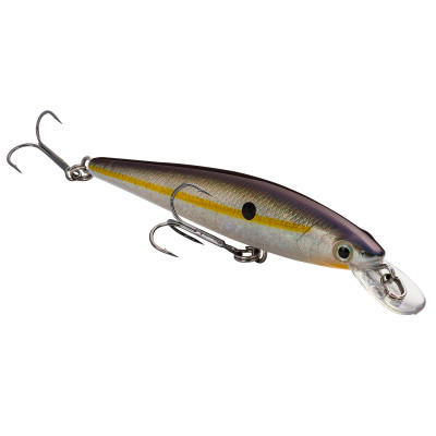 Strike King KVD 100 Jerkbait