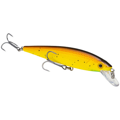 Strike King KVD 200 Jerkbait Bully